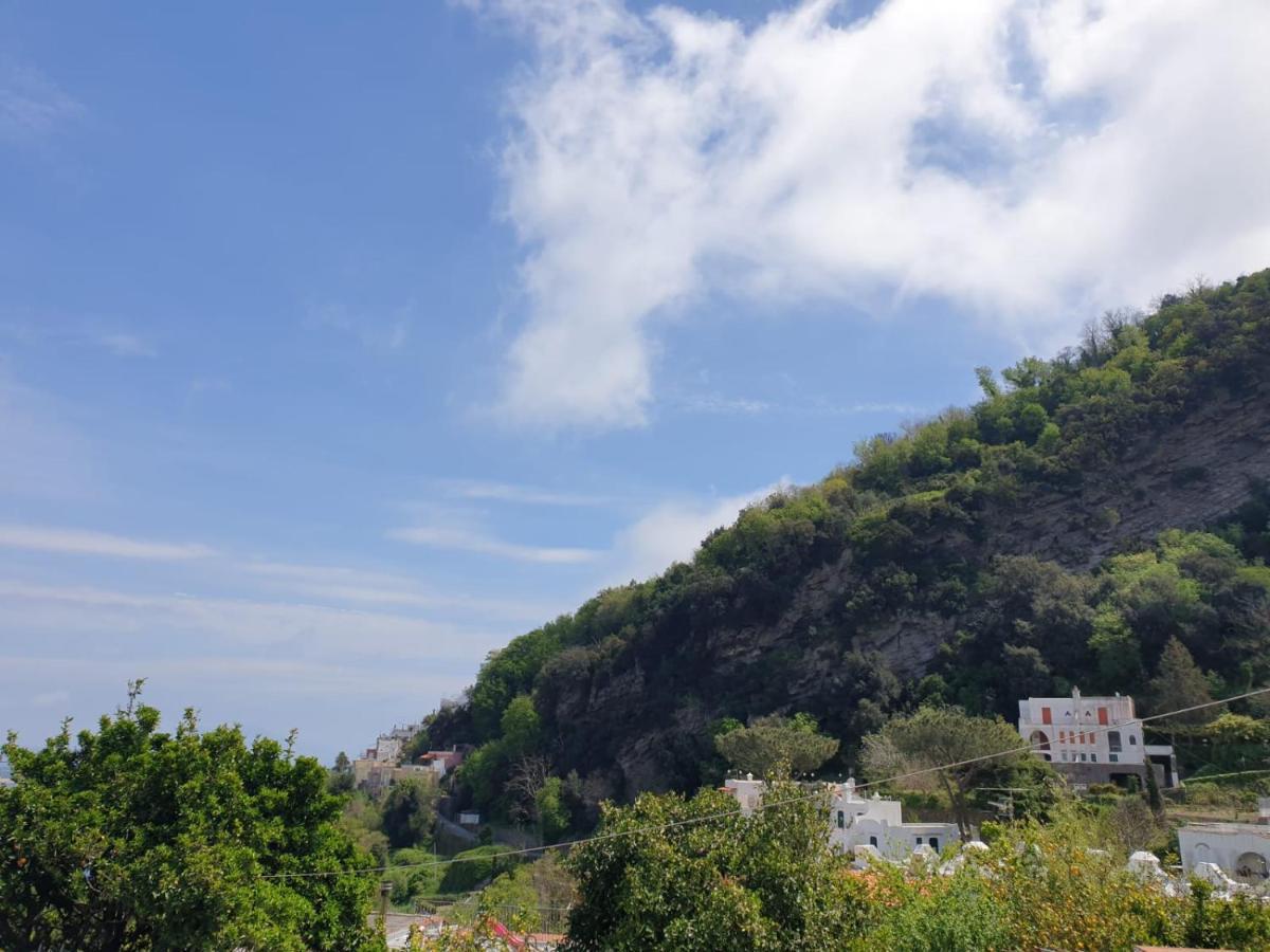 Sweet Home La Chicca Ischia Exterior foto